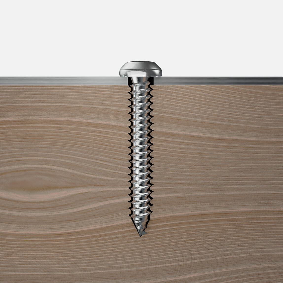    Profi Depot Sac Vidası  