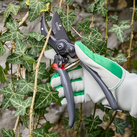 Gardol Premium Budama Makası GDB21 
