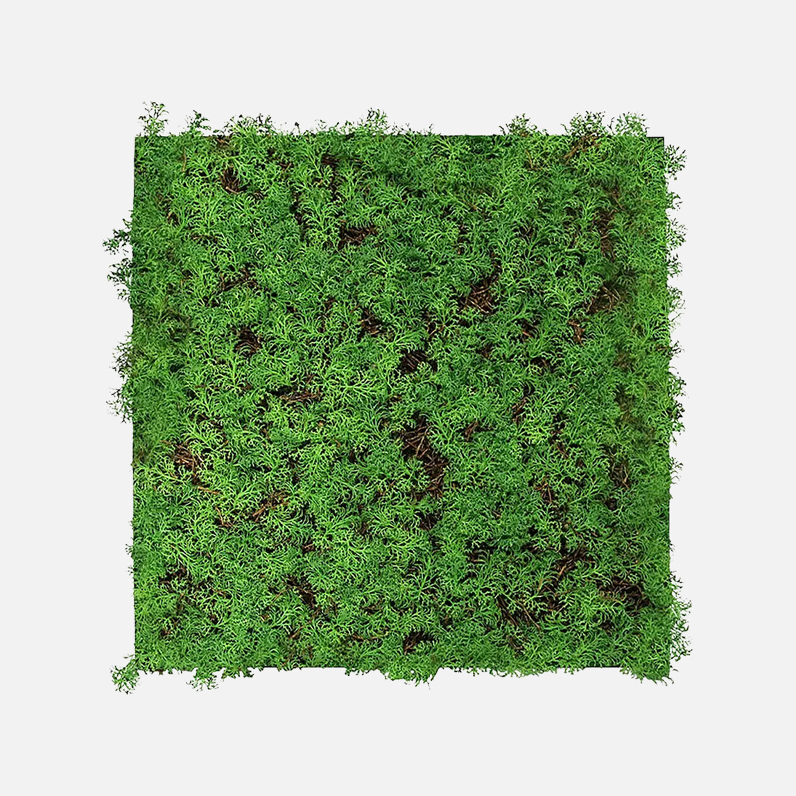    Yapay Bitki Kaplamalı Duvar Paneli Çay Ağacı 