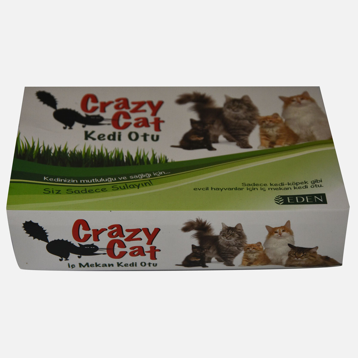    Vilmorin Crazy Cat - Kedi otu  