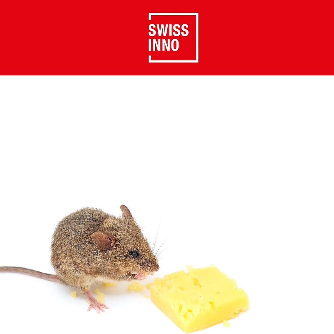    Swissinno SuperCat Fare Kapanı Yedek Yemi  