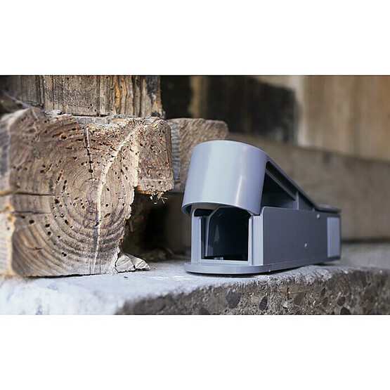 Swissinno Super Cat Fare Kapanı  