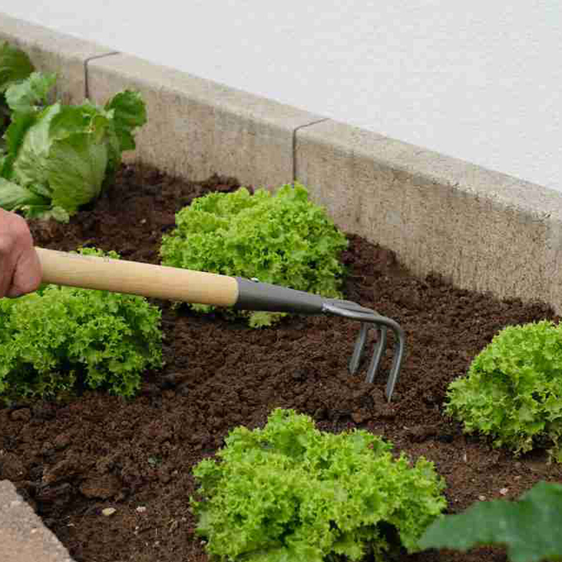    Gardol Küçük 3 Çatallı Tırmık 45cm  