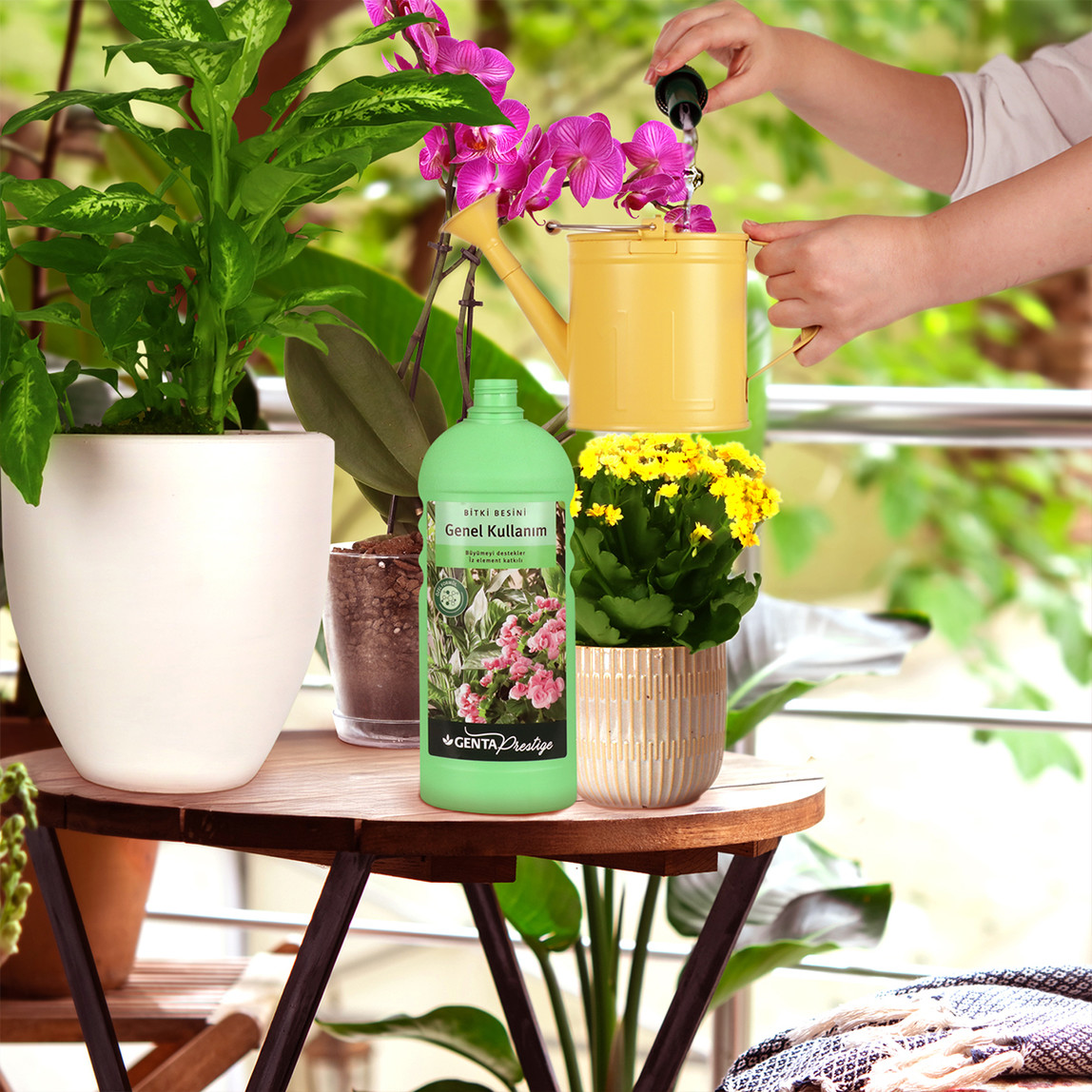    Genta Prestige Genel Kullanım Sıvı Besin 1 lt  