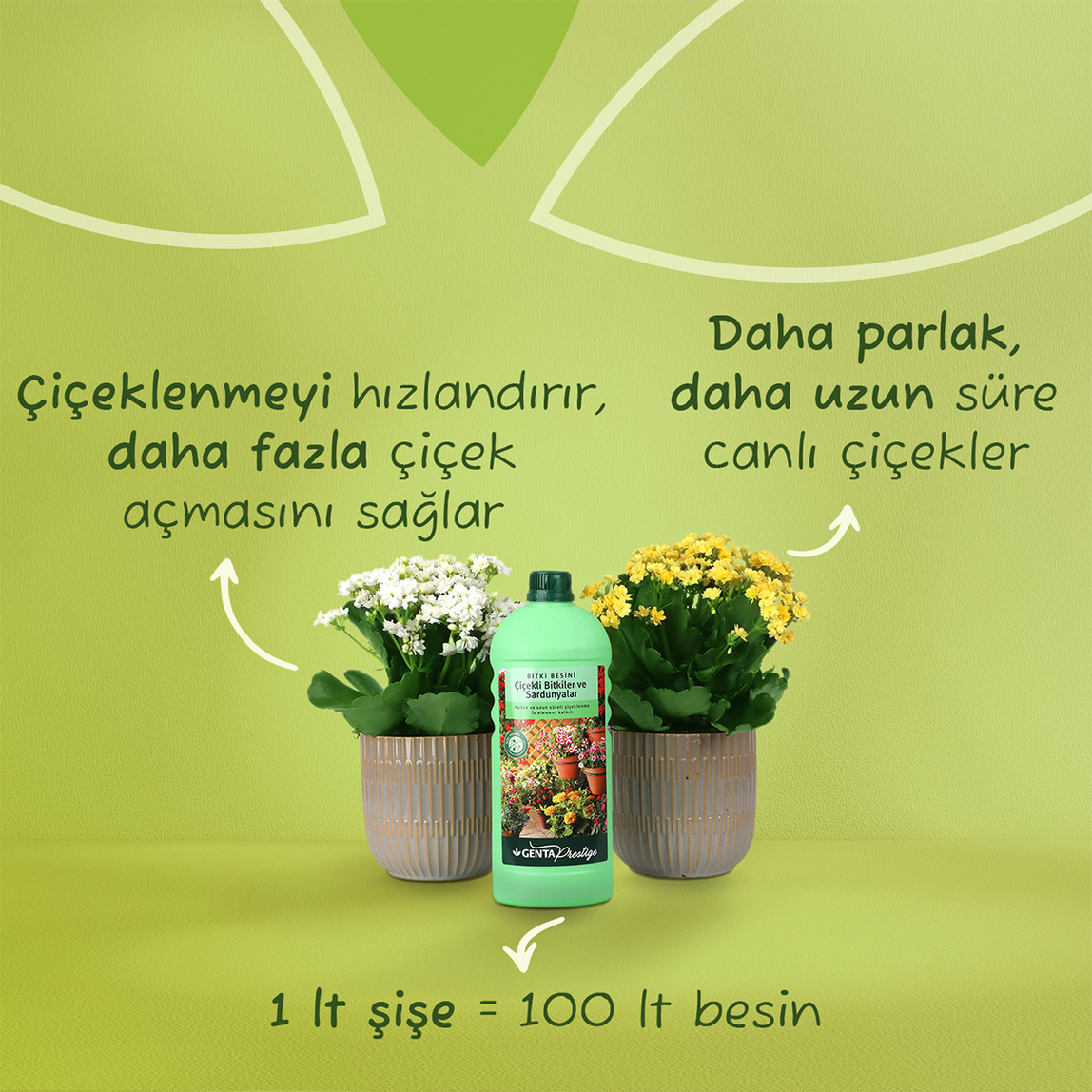    Genta Prestige Çiçekli Bitkiler ve Sardunyalar İçin Sıvı Besin 1 lt  