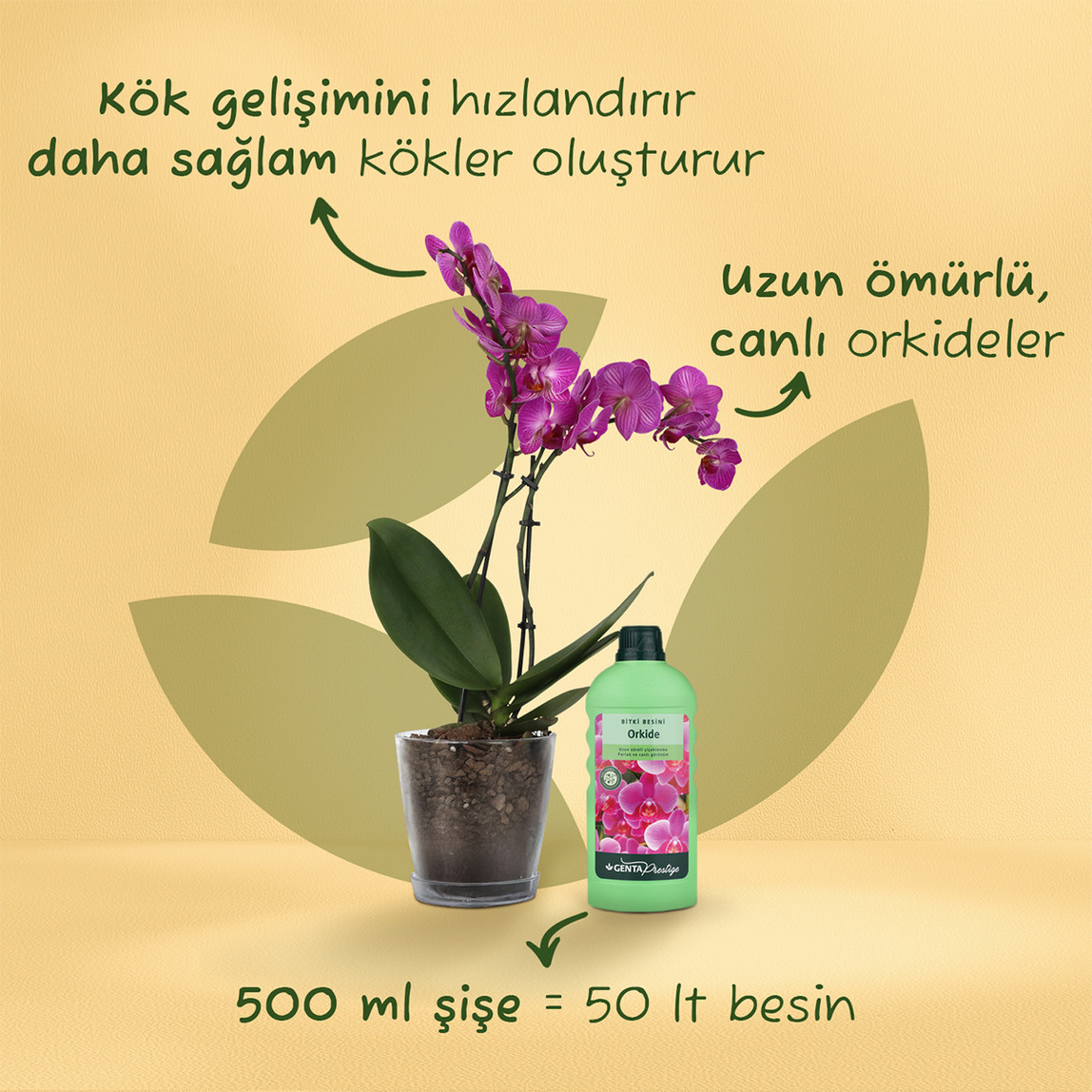    Genta Prestige Orkideler İçin Sıvı Besin  