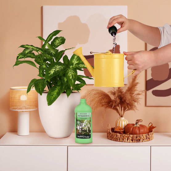 Genta Prestige Yeşil Yapraklı Bitkiler İçin Sıvı Besin 