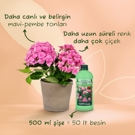 Genta Prestige Ortanca Rododendron ve Açelya İçin Sıvı Besin 