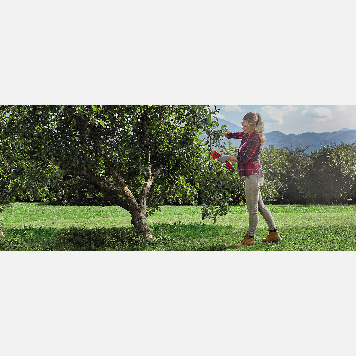    Einhell GE-LS 18LI-SOLO Akülü Budama Makası (Akü ve Şarj Cihazı Dahil Değildir)
  