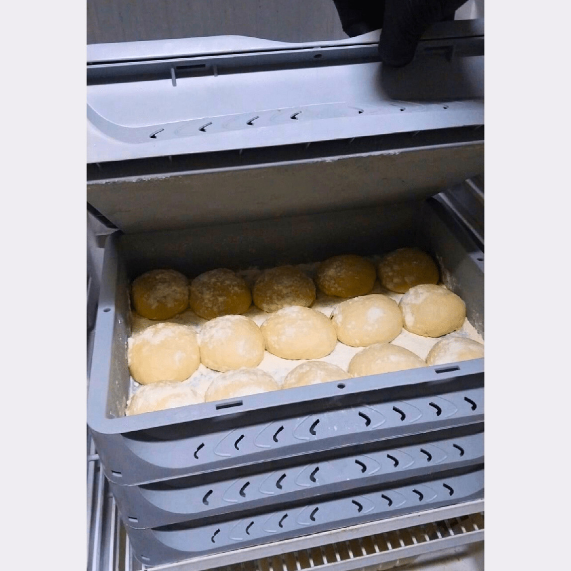    Euronorm Çok Amaçlı Taşıma ve Saklama Kasası Gri 7 lt 