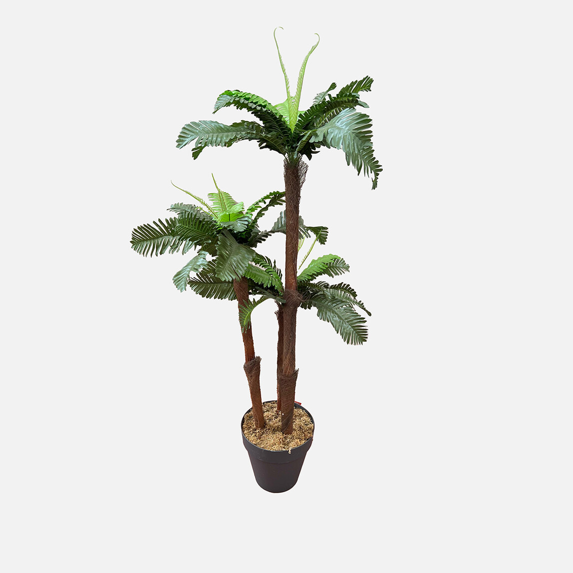    Dekoratif Yapay Cycas 3lü Ağaç 155 cm 