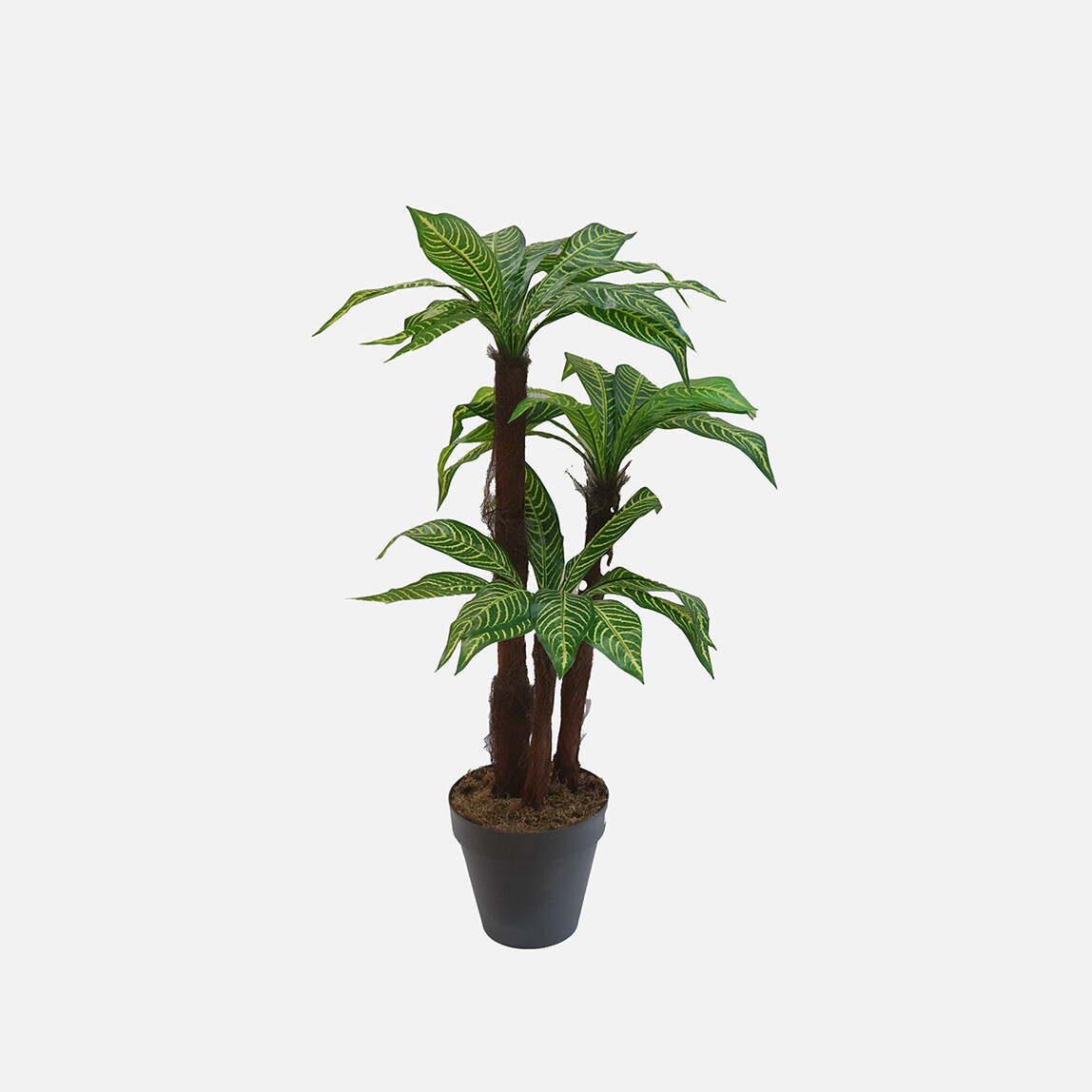    Yapay Üçlü Yukka Bitkisi 