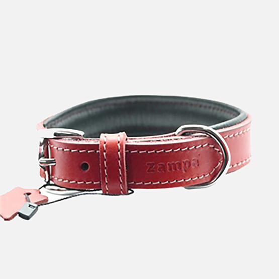Zampa Köpek Boyun Tasması Kırmızı 63 cm