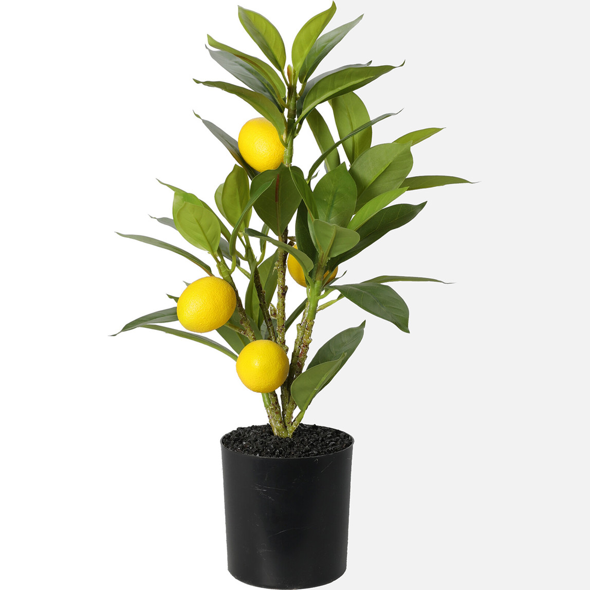    Saksıda Yapay Limon  