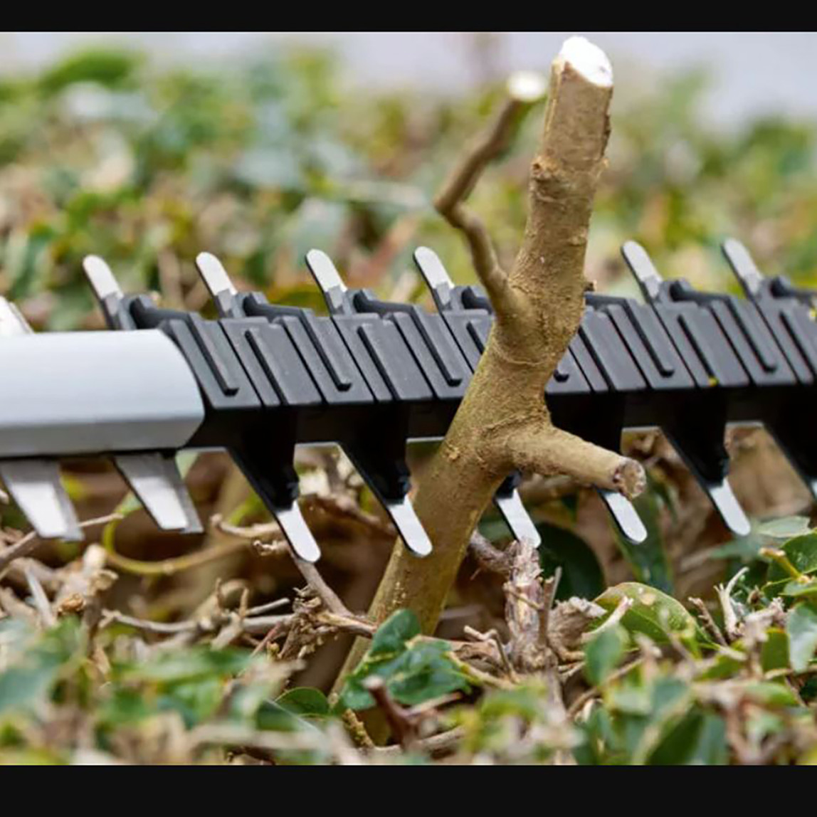    Bosch GHE 18V-60 Profesyonel Çit Kesme Makinesi (Akü ve Şarj Cihazı Dahil Değildir) 