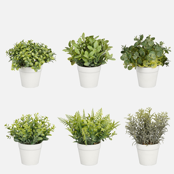 Yeşil Saksıda Yapay Yeşillik Çeşitleri