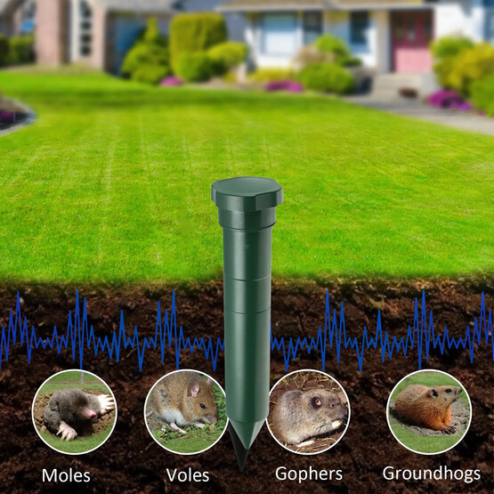 Köstebekve Fare Kovar Pilli