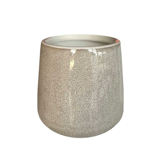 Primanova Bjorn Diş Fırçalık