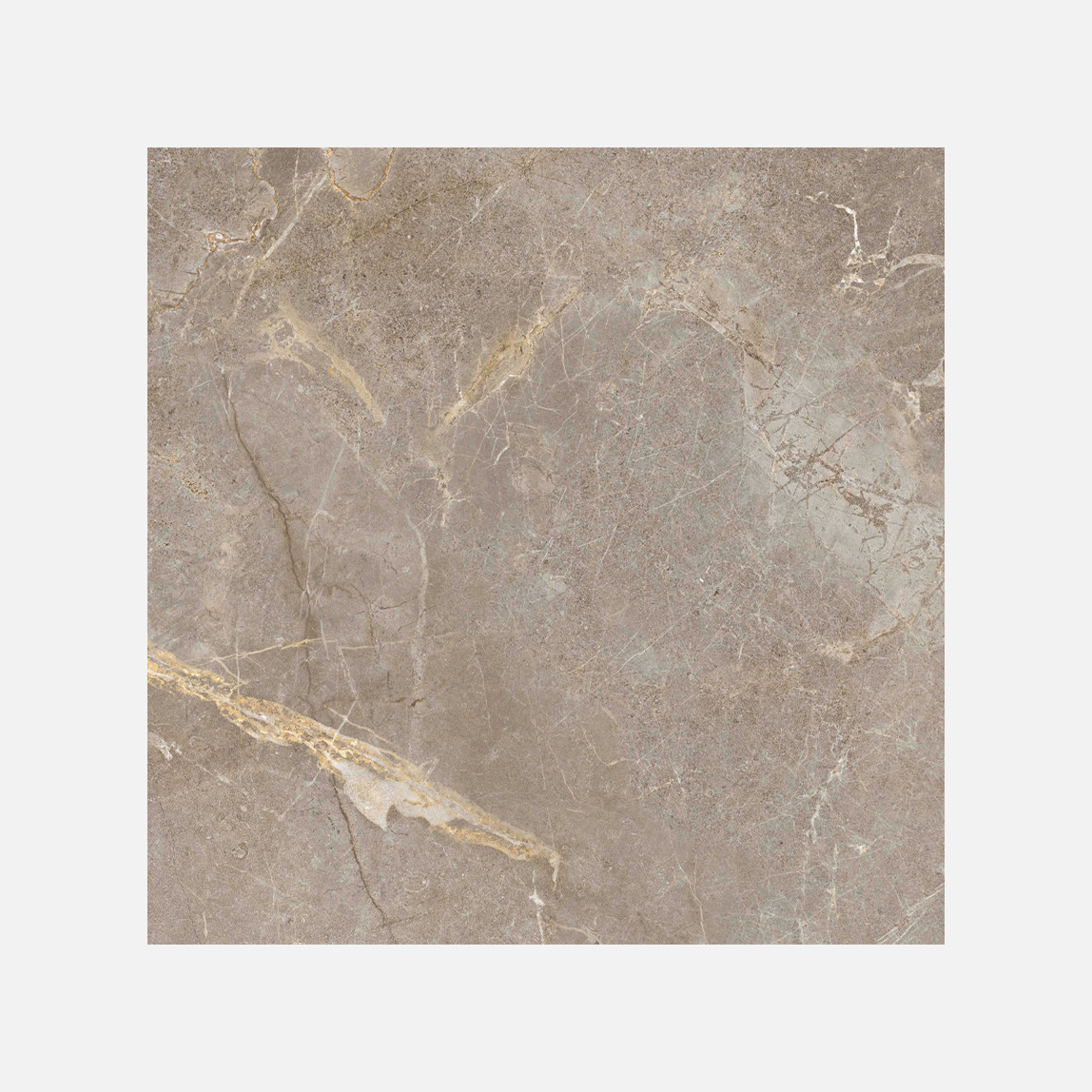    Sırlı Granit Salvia TA GS-D8841 60x60 cm 1 Kutu=1,8m2 