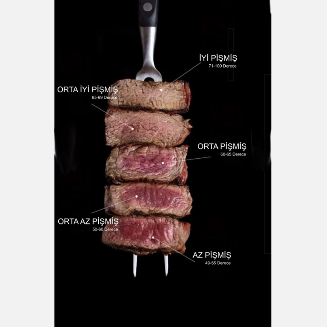    Dijital Et Termometresi  