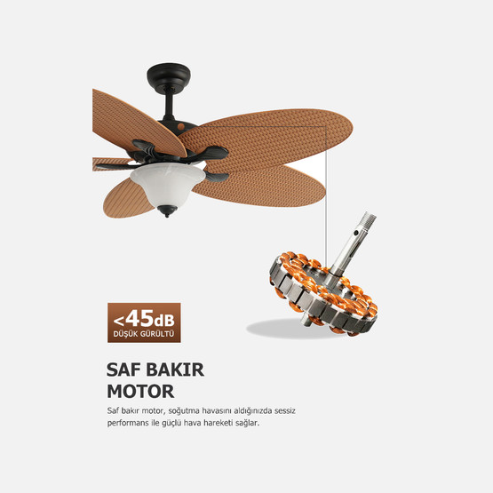 Dlc Carpinteiro Tavan Vantilatörü 2XE27 132cm Uzaktan Kumandalı