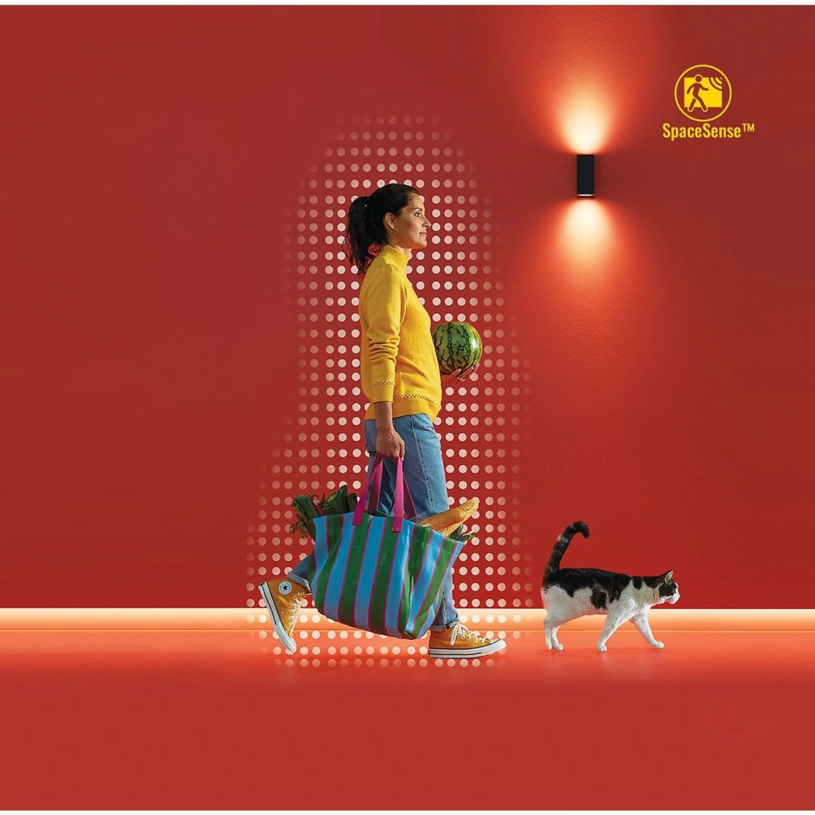    Wiz Süperslim 22W RGB Akıllı Tavan Armatürü 