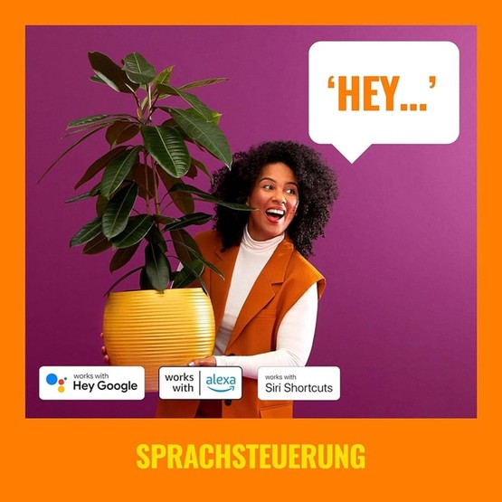 Wiz Updown 2x5W 22-65K Spot Siyah