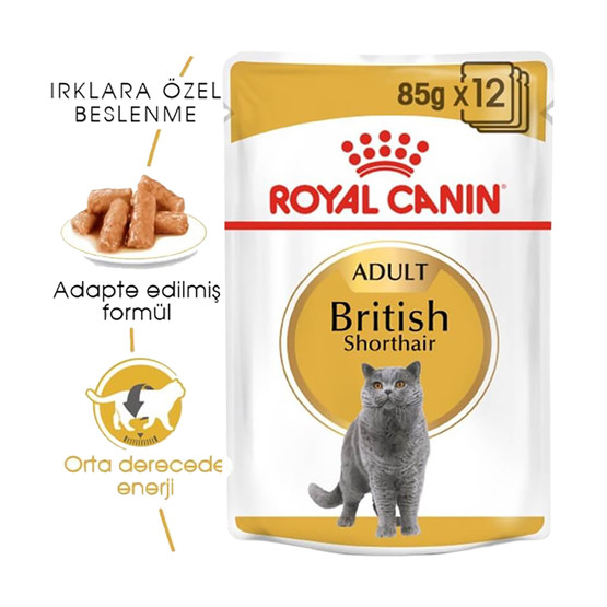 Royal Canin British Shorthair Yetişkin Pouch Kedi Konservesi 85 Gr 