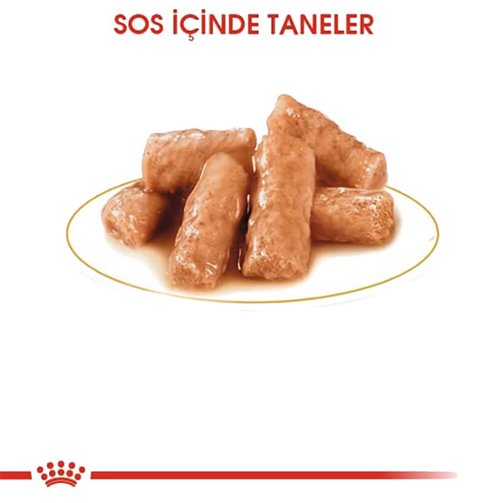 Royal Canin British Shorthair Yetişkin Pouch Kedi Konservesi 85 Gr 