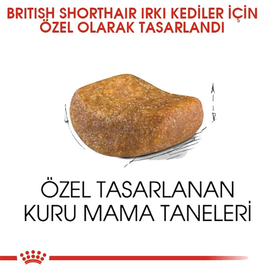 Royal Canin British Shorthair Kedi Maması 400 Gr 