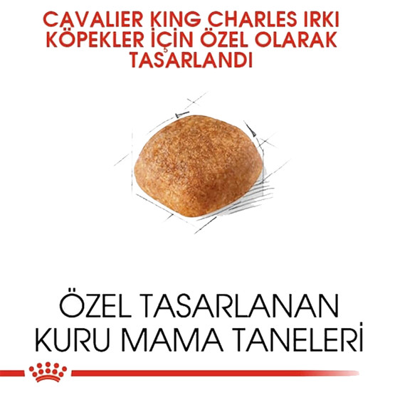 Royal Canin Cavalier King Charles 27  Yetişkin Köpek Maması 1,5 Kg 