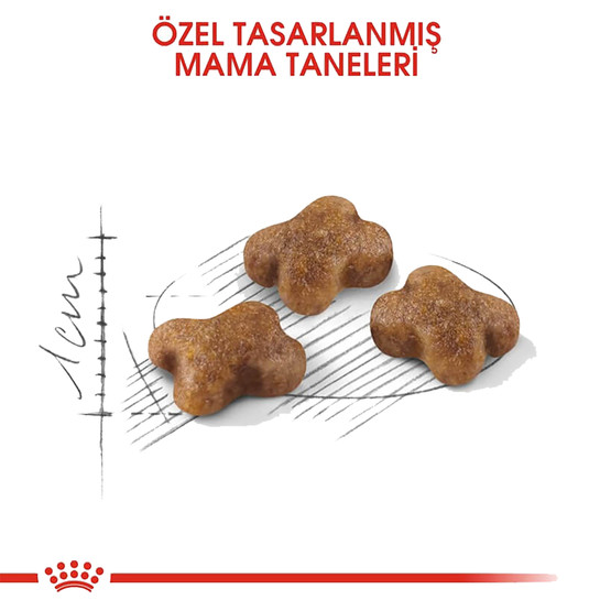 Royal Canin Kitten Yavru Kuru Kedi Maması 2 Kg 