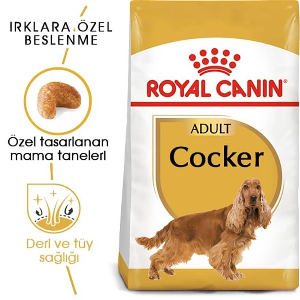    Royal Canin Cocker Spaniel 25 Köpek Maması 3 Kg  