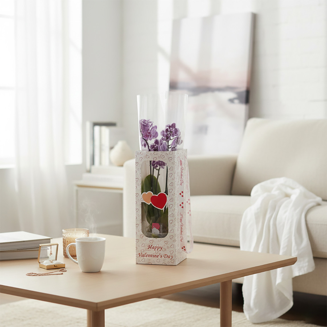    Çift Dal Orkide Desenli 50 cm  